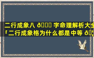 二行成象八 🍁 字命理解析大全「二行成象格为什么都是中等 🦍 好命」